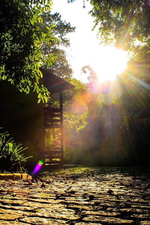 Riacho Da Serra Penedo (Rio de Janeiro)